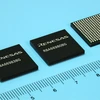 Renesas đàm phán với Apple về việc cung cấp chip