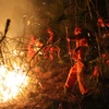[Photo] Hơn 2.500 người tham gia chữa cháy rừng ở Vân Nam