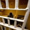 Quản giáo đông hơn tù nhân tại các nhà tù ở Hà Lan