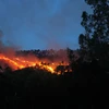[Photo] Cháy rừng lớn tại Bình Định do... dân đốt vàng mã