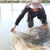 Thừa Thiên-Huế huy động 709 tỷ đồng nuôi trồng thủy sản