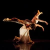 [Photo] 13 quốc gia tham dự liên hoan ballet quốc tế tại Colombia