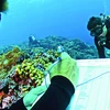 GOC vừa công bố kế hoạch tám điểm cứu các đại dương