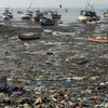 Thêm cảnh báo về rác thải chất dẻo trên các đại dương 