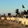 Một đoàn xe của IS chạy tới Raqqa, Syria (Nguồn: AP)
