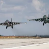 Báo cáo của NATO thừa nhận sự hiệu quả của quân đội Nga trong chiến dịch không kích Syria (Nguồn: Sputnik)