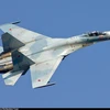 Hãng tin TASS nói rằng máy bay bị rơi là một chiếc Su-27 (Nguồn: ​PlaneSpotter)