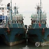 Hai tàu cá Trung Quốc đã bị tàu Tuần duyên Hàn Quốc nổ súng cảnh cáo và bắt giữ. (Nguồn: Yonhap)