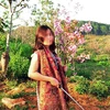 Hành động chụp ảnh với một cành hoa Mai Anh Đào của bà Phạm Thị Minh Hiếu đã gây bức xúc dư luận.