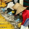 Công nhân phân loại cá ở cảng cá Tắc Cậu, Châu Thành. (Ảnh: Lê Sen/TTXVN)