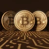 Tiền ảo bitcoin đã tăng giá chóng mặt chỉ sau một thời gian rất ngắn. (Nguồn: NBC)