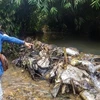 Toàn cảnh vụ đổ trộm dầu thải xuống đầu nguồn nước sạch Sông Đà