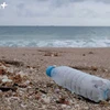 Huyện đầu tiên ở Việt Nam tiến hành cấm các loại nhựa dùng một lần