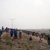 Thanh niên tham gia chương trình đặc biệt làm sạch bãi biển Giao Hải