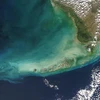 Biến đổi khí hậu toàn cầu làm màu đại dương chuyển từ xanh lá sang lục