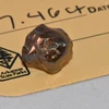 Viên kim cương nâu nặng 7,46 carat mà Navas đã tìm thấy. (Nguồn: CNN)