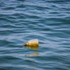 5 người Sri Lanka tử vong vì uống chất lỏng bí ẩn từ chai trôi trên biển