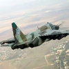 Quân ly khai Donetsk xác nhận bắn hạ 1 máy bay cường kích Su-25