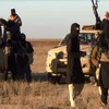 Iran thuyết phục Thổ Nhĩ Kỳ cứu thị trấn Kobane bị IS bao vây