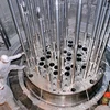 Rosatom công bố tỷ lệ nội địa hóa nhà máy điện hạt nhân ở Việt Nam