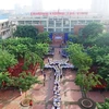 Xếp hình lá cờ tổ quốc khổng lồ tại trường Lương Thế Vinh. (Ảnh: Tùng Lâm/Vietnam+)