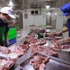 Chuẩn bị nguyên liệu thịt lợn để chế biến tại cơ sở sản xuất của Hợp tác xã Hoàng Long ở thôn Tri Lễ, xã Tân Ước, huyện Thanh Oai, Hà Nội. (Ảnh: Vũ Sinh/TTXVN)