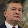 Tổng thống Ukraine bị phế truất Viktor Yanukovych (Nguồn: AFP/TTXVN)