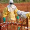 Thủ tướng chỉ đạo thực hiện mọi biện pháp ngăn dịch Ebola 