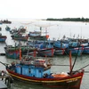 Quảng Trị: Cứu hộ an toàn 6 thuyền viên bị sóng đánh chìm tàu 