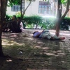 Tại điểm thi thuộc Đại học Sư phạm, một phụ huynh nằm thẳng đượt trong vườn hoa dưới cái nóng như thiêu đốt ở thủ đô Hà Nội. (Ảnh Sơn Bách/Vietnam+)