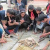Học sinh trường Tiểu học Tả Phìn (Lào Cai) học làm nhạc cụ dân tộc trong giờ ra chơi. (Ảnh: Phạm Mai/Vietnam+)