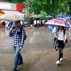 Thí sinh Hà Nội đi làm thủ tục dự thi dưới trời mưa. (Ảnh: Doãn Đức/Vietnam+)