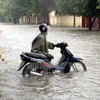 Mưa lũ nhấn chìm các tuyến đường tại thành phố Vinh, Nghệ An. (Ảnh: Tá Chuyên/TTXVN)