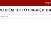 Tra cứu điểm thi tốt nghiệp THPT 2022 trên Báo Điện tử VietnamPlus