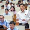 Đại biểu Lại Văn Hoàn đề nghị tăng tỷ lệ vốn Nhà nước lên 80%. (Ảnh: CTV/Vietnam+)