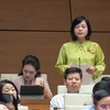 Đại biểu Nguyễn Thanh Cầm phát biểu tranh luận. (Ảnh: CTV/Vietnam+)
