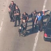 Chùm ảnh vụ xả súng tại sân bay Los Angeles của Mỹ