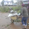 Một thị trấn ở Philippines có tới 1.000 người chết vì bão Haiyan