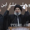  Thủ lĩnh phong trào vũ trang Hezbollah Hassan Nasrallah (Nguồn: AFP)