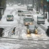Giao thông tại Tokyo bị ảnh hưởng do tuyết rơi dày (Nguồn: AFP)