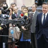 Thủ tướng Anh David Cameron nói tình hình tại Ukraine vẫn "đặc biệt bấp bênh" (Nguồn: AFP)