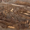 Peru: Tìm thấy 150 xác ướp thuộc nền văn minh lạ ở sa mạc