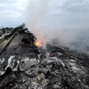 Mỹ: Máy bay Malaysia có thể bị tên lửa của phe ly khai Ukraine bắn hạ
