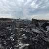 Việt Nam đề nghị tiến hành một cuộc điều tra minh bạch về vụ MH17