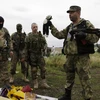 Ukraine đã thu nhặt được 181 thi thể từ hiện trường MH17