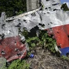Những cột mốc chính trong vụ chuyến bay MH17 rơi ở Ukraine
