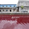 Dòng sông ở Trung Quốc bỗng chuyển sang màu đỏ như máu