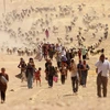 Người tị nạn Yazidi phải cho con bú sữa dê khi chạy trốn ISIS