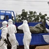 Thế giới phải mất 6 tháng để kiểm soát dịch Ebola, 1.145 người đã chết