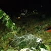 Vụ xe khách lao xuống vực ở Sa Pa: Có 12 người đã tử vong
